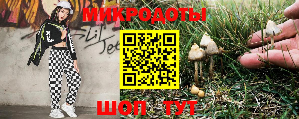 Чебоксары  Галлюциногенные грибы ЛСД  Галлюциногенные грибы Psilocybine cubensis  Вход с VPN 